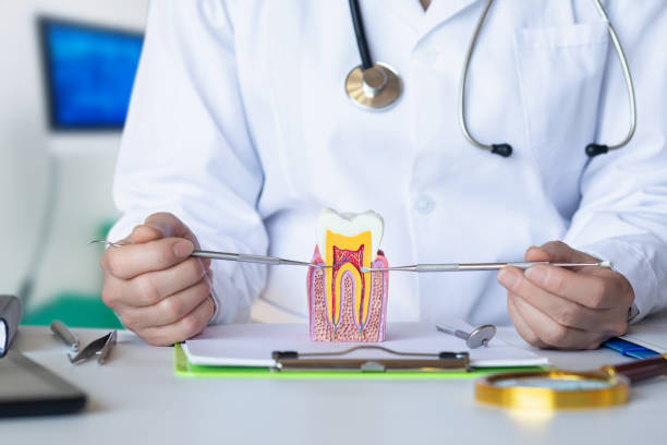 Best Emergency Denture Repair in Bloomington, IL